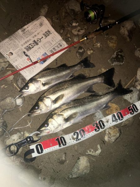 ががっときました