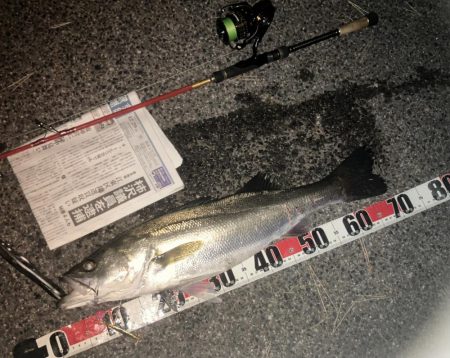 釣り納め 今季70本目