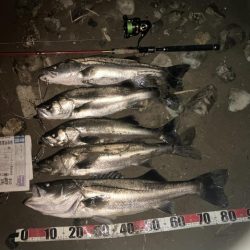 今季3本目ランカーでした。