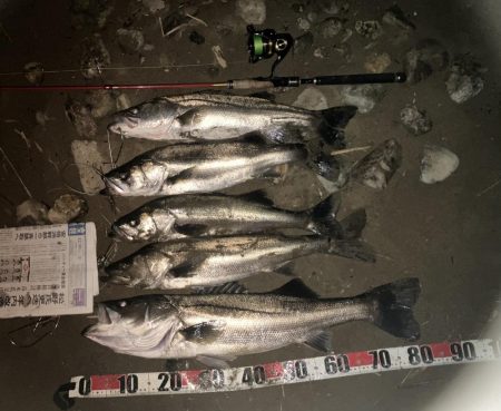 今季3本目ランカーでした。