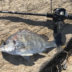 冬チニング　淀川でゲット