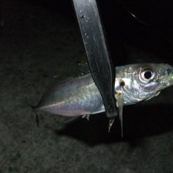 なんとかツ抜け