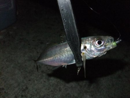 なんとかツ抜け