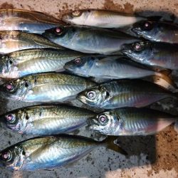 3日続けてあそこへ