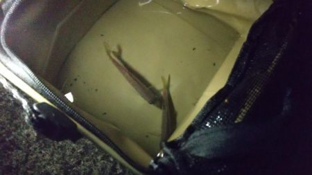 もれなく小さい