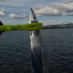 昼太刀チャレンジ行って来ました。