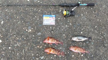 今年最後の釣行は?