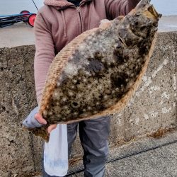 年納めの座布団