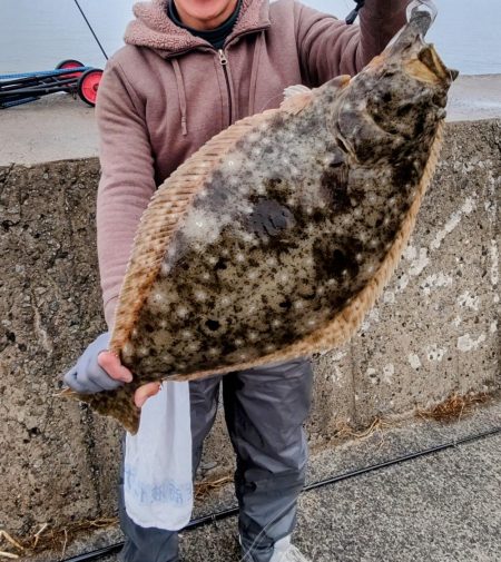 年納めの座布団