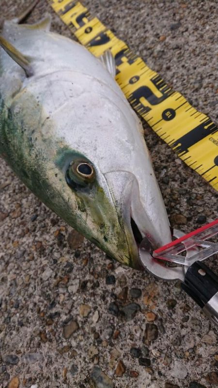 2023播磨詣第3回