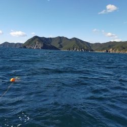 近海ぶっ飛び〜