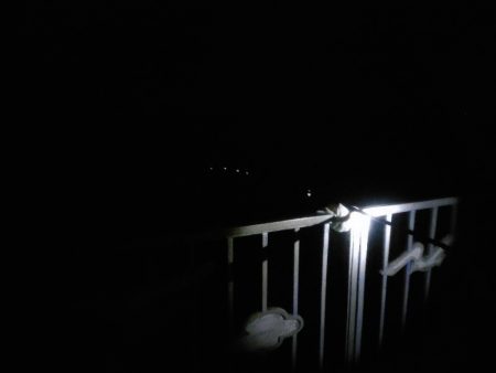 貝塚人口島アジ爆釣