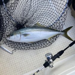 たかたかの釣り日記