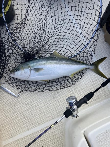 たかたかの釣り日記