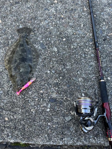 ついにヒラメゲット