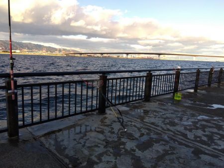 スズキもメジロも