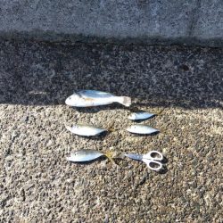 ブリーはいました。