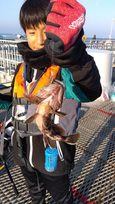 カワハギ釣れました