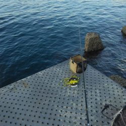 フカセ‥最高ですネ・・