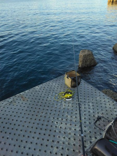 フカセ‥最高ですネ・・