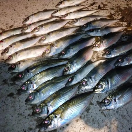 今夜はパターン掴んでボコボコ