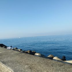 貧果ですが、状況報告も兼ねて投稿します!