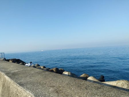 貧果ですが、状況報告も兼ねて投稿します！