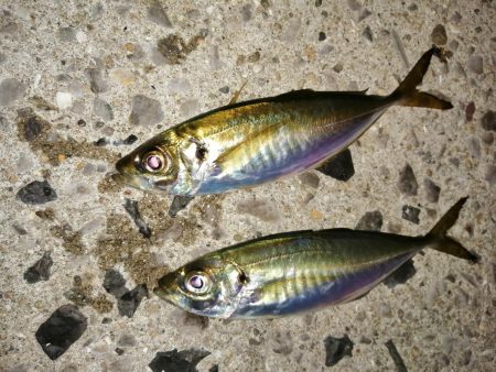 いい意味でいつも通りです