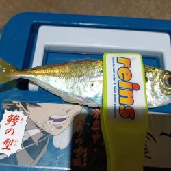 2023/12/13 南港ライトゲーム釣行 (アジ狙い)