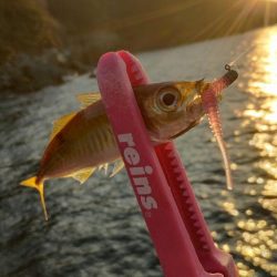 スーパーゼンゴ