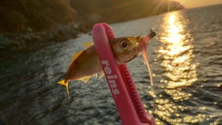 スーパーゼンゴ