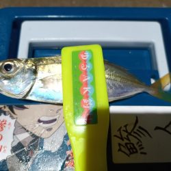 2023/12/27 南港ライトゲーム釣行 (アジ狙い)