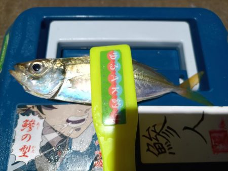 2023/12/27 南港ライトゲーム釣行 (アジ狙い)