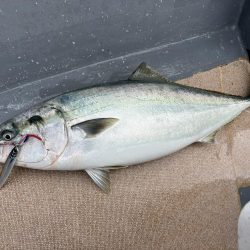 丹後半島沖ジギングで寒ブリ