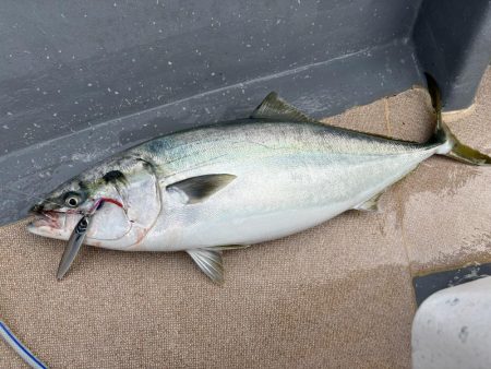 丹後半島沖ジギングで寒ブリ