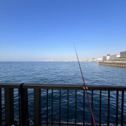 渋いシーズン到来