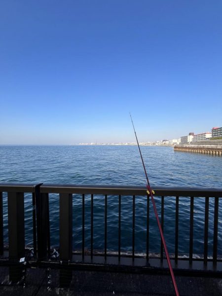 渋いシーズン到来