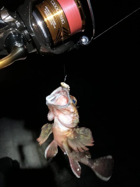 ガッシーで納竿会