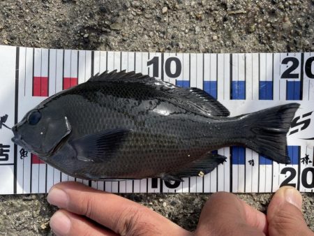 爆風と戦いながら