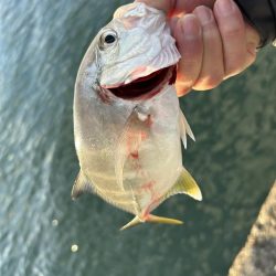 寒くてもメッキ！