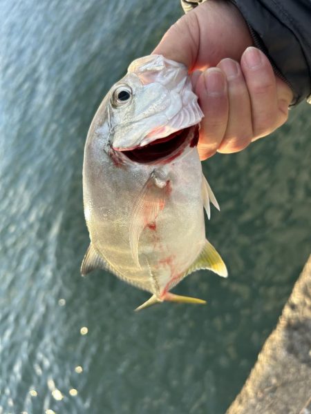 寒くてもメッキ！