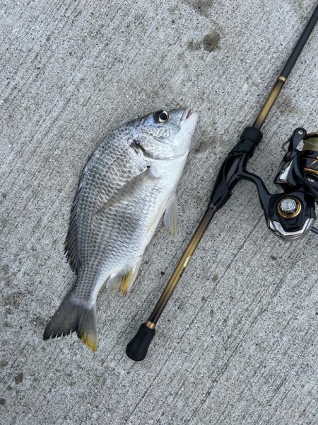 メッキ終わった…