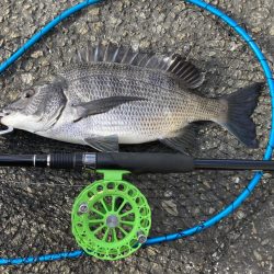 僅かなアタリで1枚