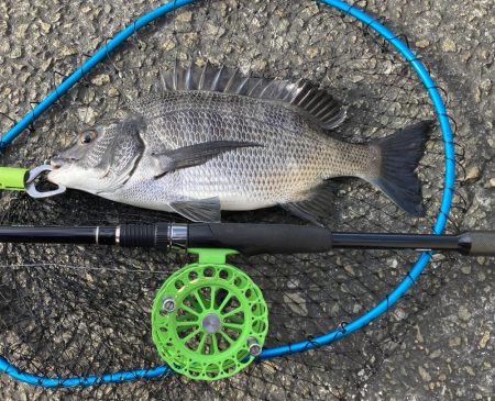 僅かなアタリで1枚