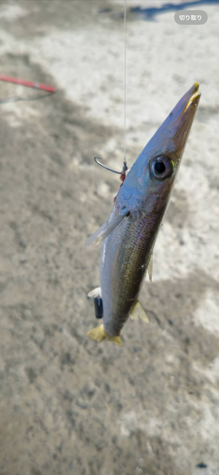 ★★釣り納めに行ったらとんでも無い事が★★
