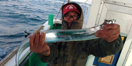 泉州丸 釣果