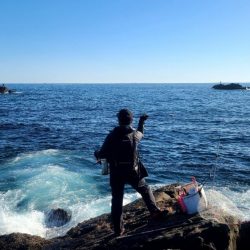 和歌山口和深(下谷渡船)でグレ釣り