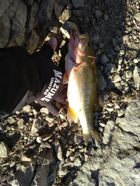 フリーリグで1本