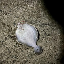 エビ巻き釣りで7目