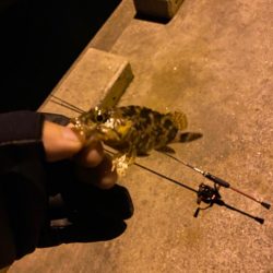 アジング&メバリング